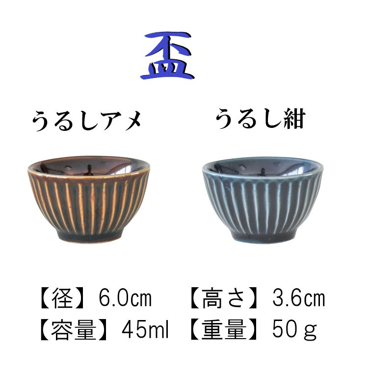 うるし酒器 2合 徳利 盃 美濃焼 食器 とっくり おしゃれ 可愛い かっこいい スマート シンプル ナチュラル カクニ オリジナル 日本産 インスタ映え 普段使い 酒器 熱かん お酒 和風 ギフト モダン 和 北欧