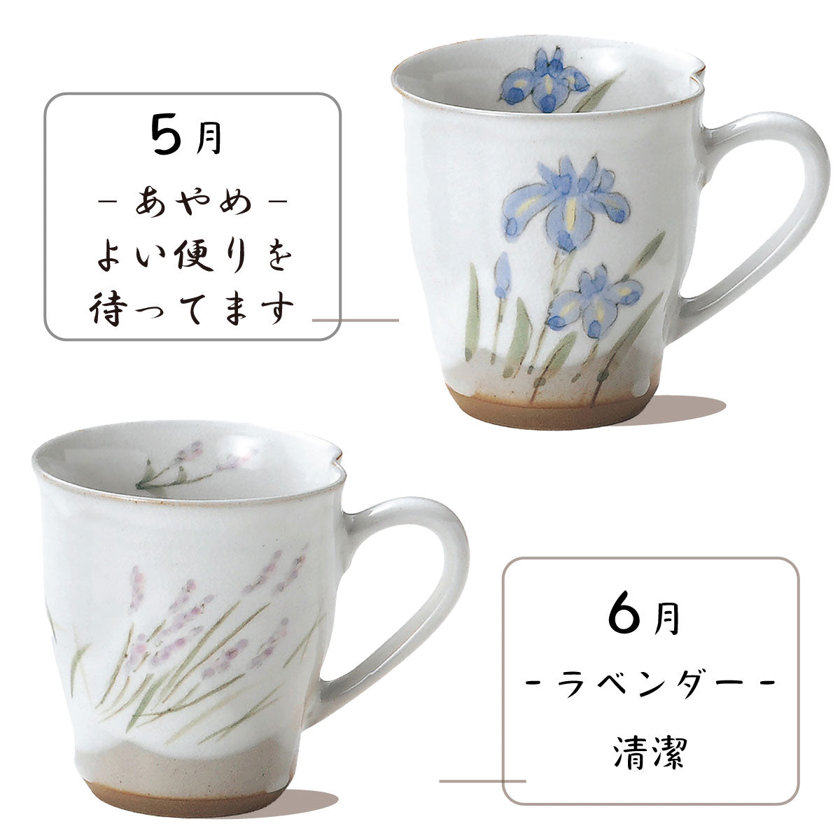 花言葉12ヶ月マグ マグカップ おしゃれ かわいい 花柄 ギフト 花言葉 敬老の日 誕生日 結婚記念日 プレゼント 贈り物 水仙 梅 すみれ 桜 あやめ ラベンダー ゆり ひまわり 秋桜 桔梗 つわぶき 椿 カクニ
