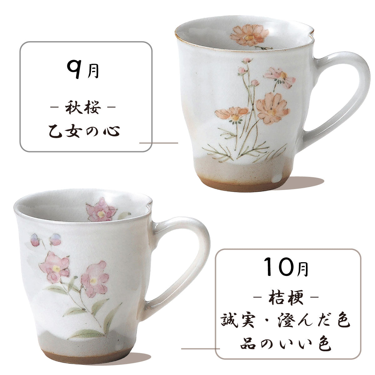花言葉12ヶ月マグ2個セット マグカップ プレゼント 結婚記念日 敬老の日 母の日 おしゃれ 化粧箱入り ギフトボックス 花言葉 大きめ 贈り物 美濃焼 日本製 楽天商品 カクニ
