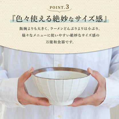縞一珍丼 2個セット ラーメンどんぶり 茶碗 おしゃれ シンプル うどん 国産 日本製 食器 お茶碗 ご飯茶碗 飯碗 丼もの 小丼 ストライプ ちゃわん 子供 小さめ  模様 ラーメン鉢 かわいい 食洗機使用可 電子レンジ使用可