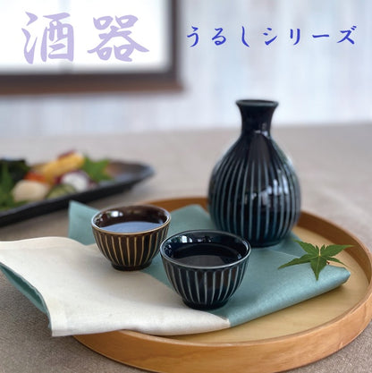 うるし酒器 ２合 徳利 盃  美濃焼 食器 とっくり おしゃれ 可愛い かっこいい スマート シンプル ナチュラル カクニ オリジナル 日本産 インスタ映え 普段使い 酒器 熱かん お酒 和風  ギフト モダン 和 北欧