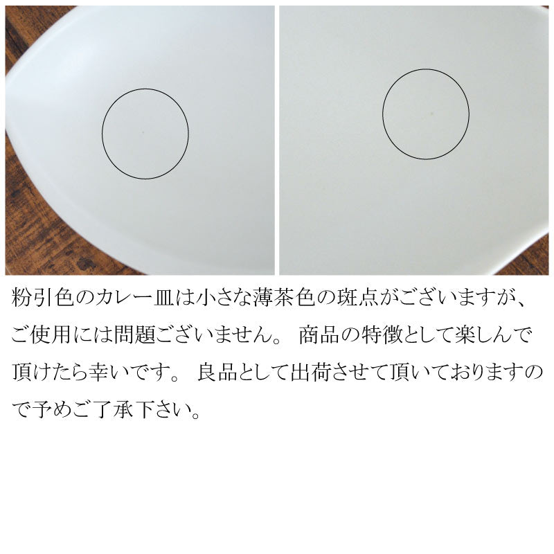 さかなカレー皿 カレー皿 子供 キッズ kids パスタプレート 面白い おもしろい おしゃれ 北欧 子供用 かわいい パスタ皿 日本製 美濃焼 陶磁器 食器 レンジ対応 食洗機対応 白 ピンク ホワイト 水色 イエロー アニマル 魚