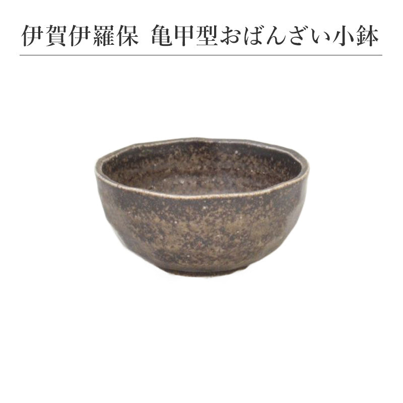 伊賀伊羅保 亀甲型おばんざい小鉢 食器 おしゃれ 和食器 シンプル モダン おばんざい 小鉢 食卓 キッチン用品 プレゼント 贈り物 お祝い 母の日 父の日 敬老の日 結婚式 お中元 お歳暮 かわいい おしゃれ