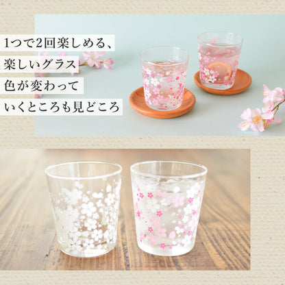 さくら冷感グラス【グラス おしゃれ 冷感 色が変わる かわいい 300ml POP 人気 プレゼント ギフト 日本製 コップ カップ 子供用 カクニ】