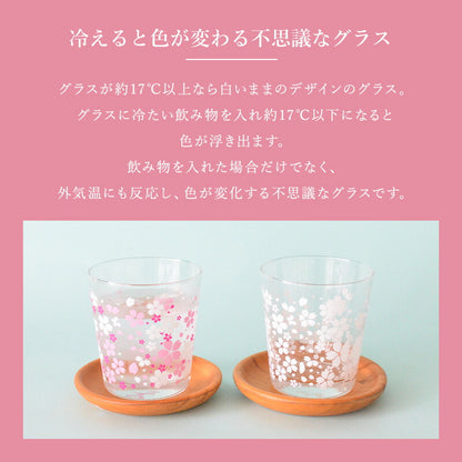 さくら冷感グラス【グラス おしゃれ 冷感 色が変わる かわいい 300ml POP 人気 プレゼント ギフト 日本製 コップ カップ 子供用 カクニ】