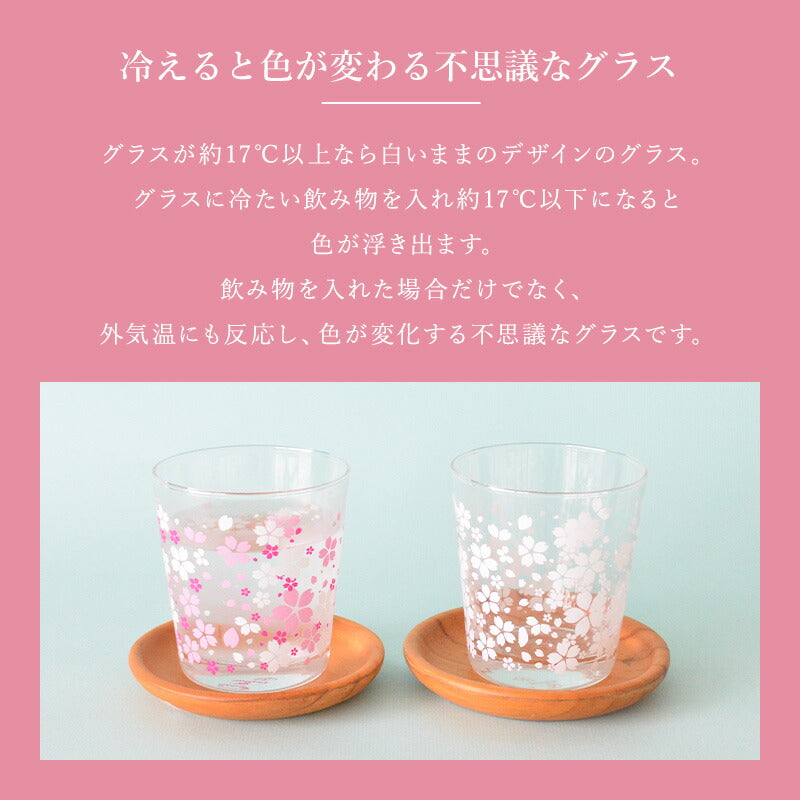 さくら冷感グラス【グラス おしゃれ 冷感 色が変わる かわいい 300ml POP 人気 プレゼント ギフト 日本製 コップ カップ 子供用 カクニ】